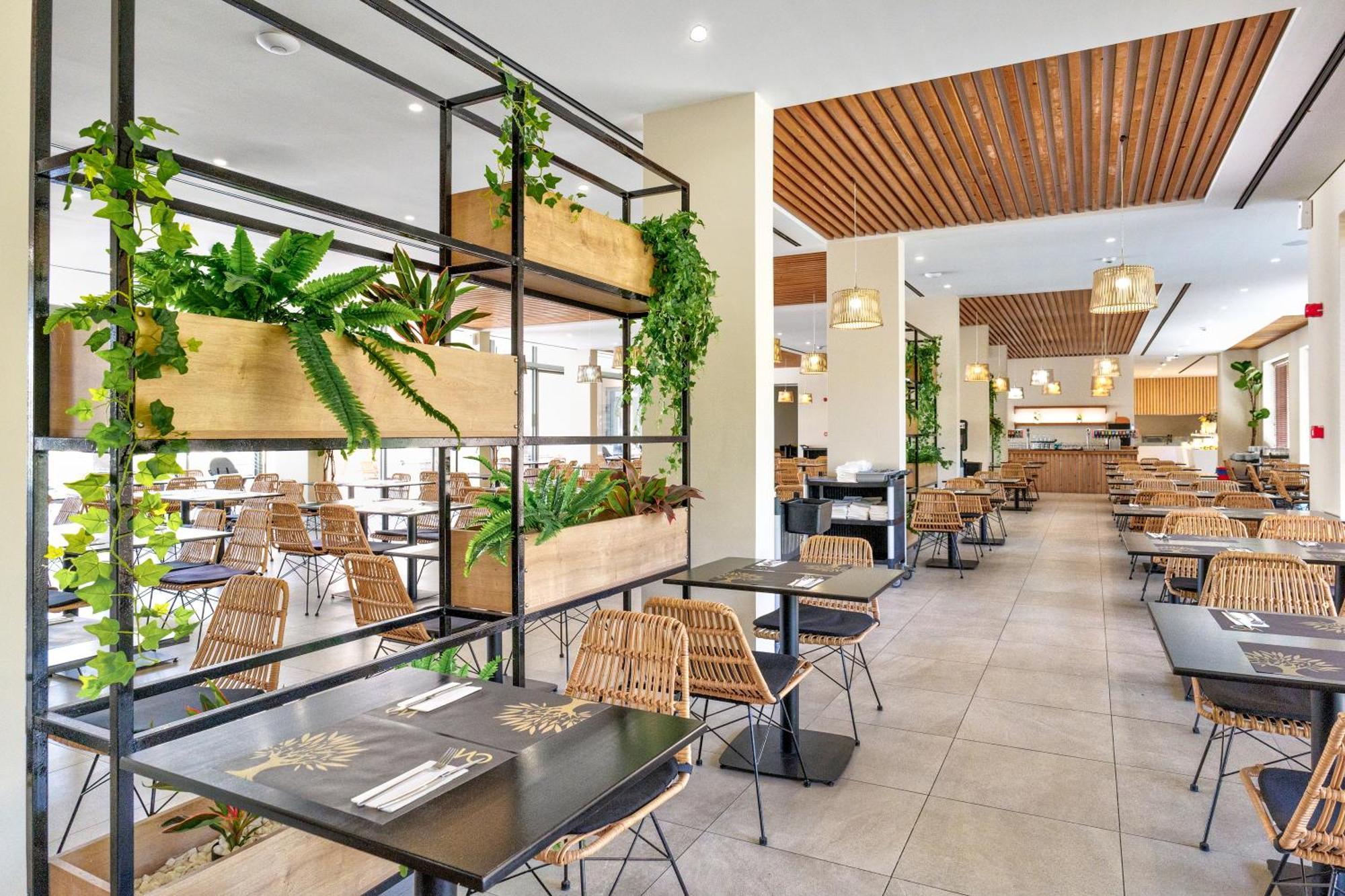 White Olive Elite Laganas Hotel Luaran gambar